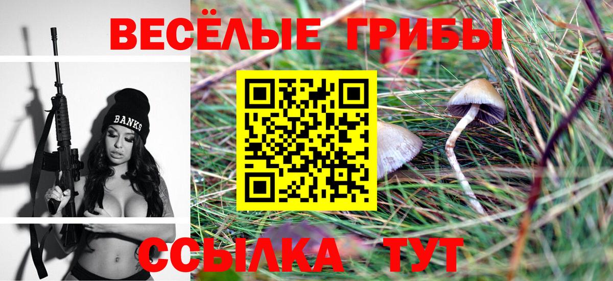 Псилоцибиновые грибы мицелий Семилуки