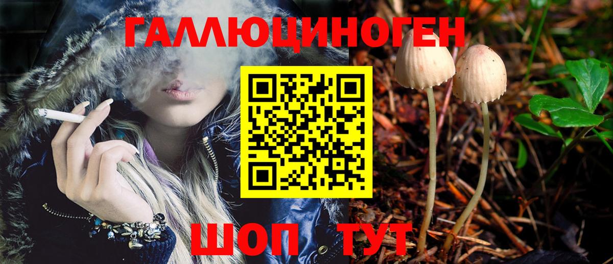 Галлюциногенные грибы Psilocybine cubensis  Вход с VPN  Семилуки 